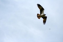 Killikus&reg; Fotographie